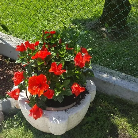 Casa Gaia - *