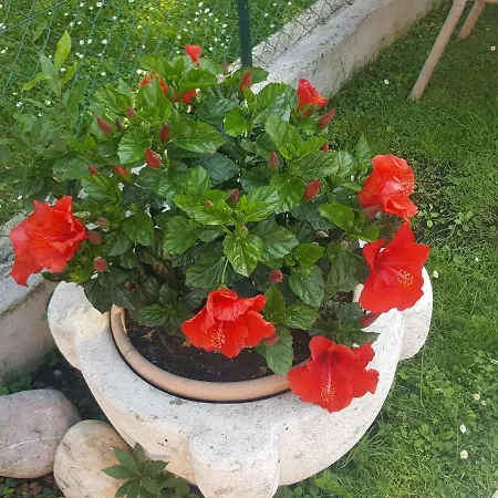 Casa Gaia - Bed and breakfast Sirmione
